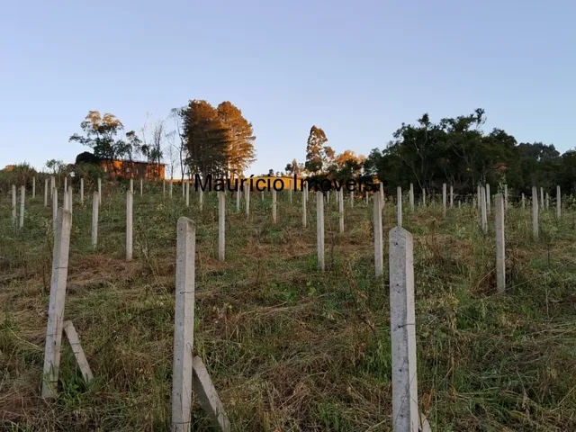 Imagem 14: Sítio com plantio de uvas, 3,4 hectares, Chapadão do Lageado, S.C. com casa mista 3