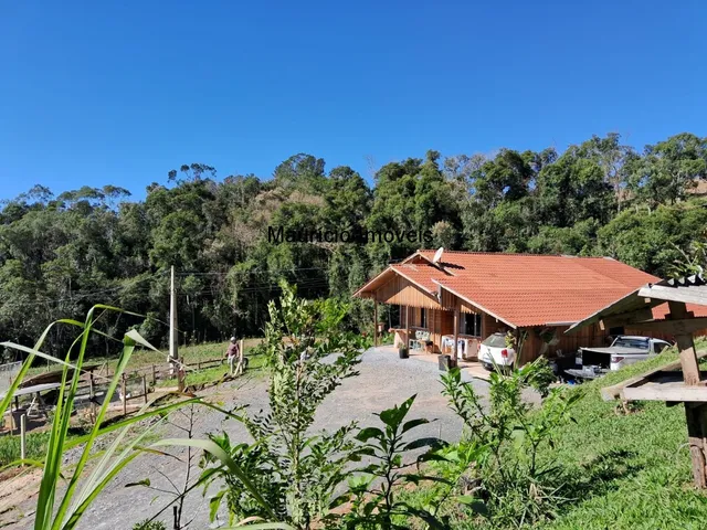 Imagem 5: Sítio com plantio de uvas, 3,4 hectares, Chapadão do Lageado, S.C. com casa mista 3