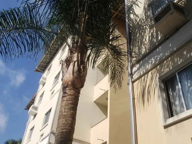 Imagem 2: Apartamento - Boa Vista - Blumenau