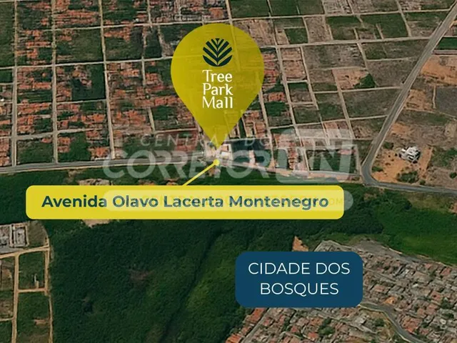 Imagem 8: Júnior Creci 4745 - 84 99922.4172 - Sala no Tree Park Mall - a partir de R$ 2.000