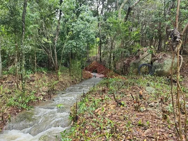 Imagem 9: Amplo terreno à venda no bairro Ratones, Florianópolis/SC