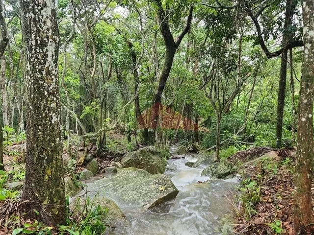 Imagem 13: Amplo terreno à venda no bairro Ratones, Florianópolis/SC
