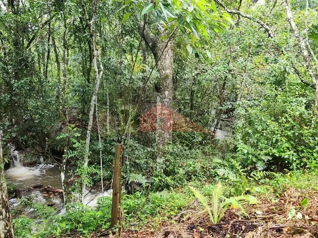 Imagem 16: Amplo terreno à venda no bairro Ratones, Florianópolis/SC
