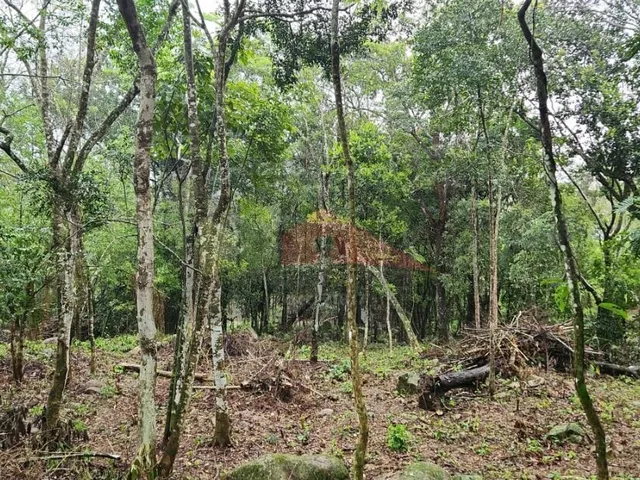 Imagem 4: Amplo terreno à venda no bairro Ratones, Florianópolis/SC