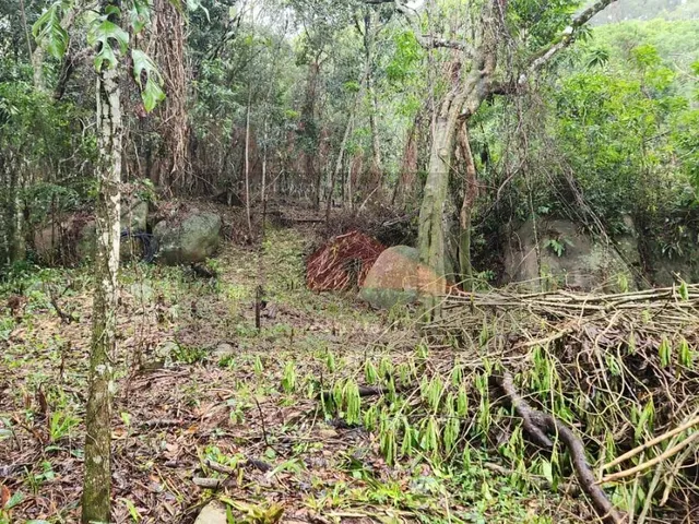 Imagem 2: Amplo terreno à venda no bairro Ratones, Florianópolis/SC