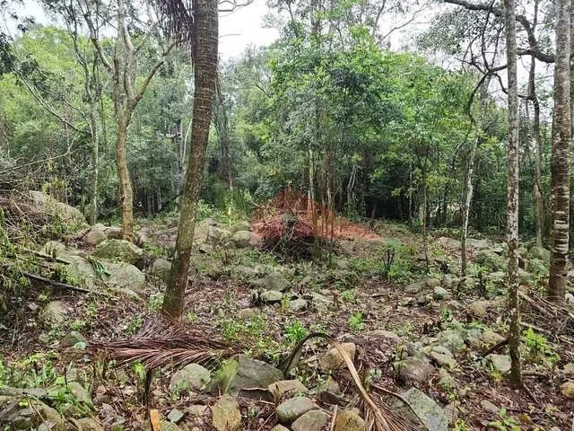 Imagem 15: Amplo terreno à venda no bairro Ratones, Florianópolis/SC