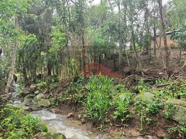 Imagem 6: Amplo terreno à venda no bairro Ratones, Florianópolis/SC