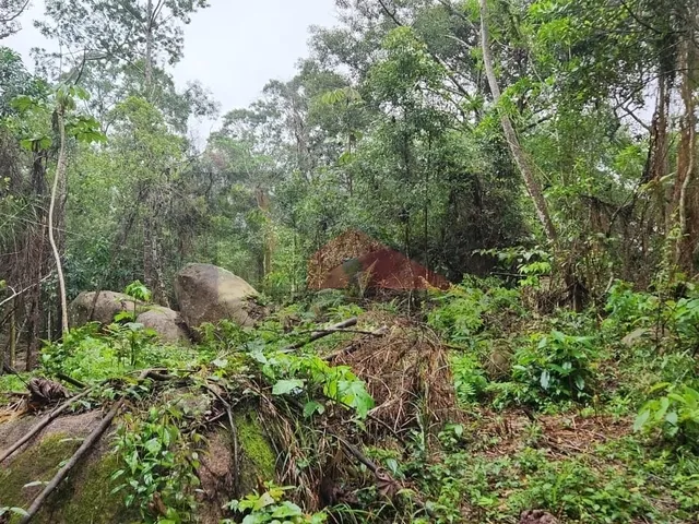 Imagem 5: Amplo terreno à venda no bairro Ratones, Florianópolis/SC
