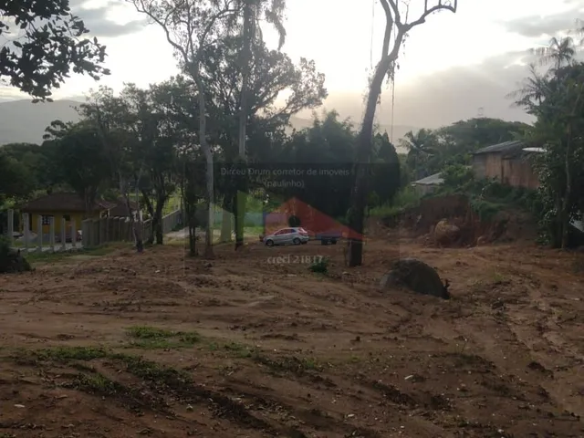 Imagem 7: Amplo terreno à venda no bairro Ratones, Florianópolis/SC
