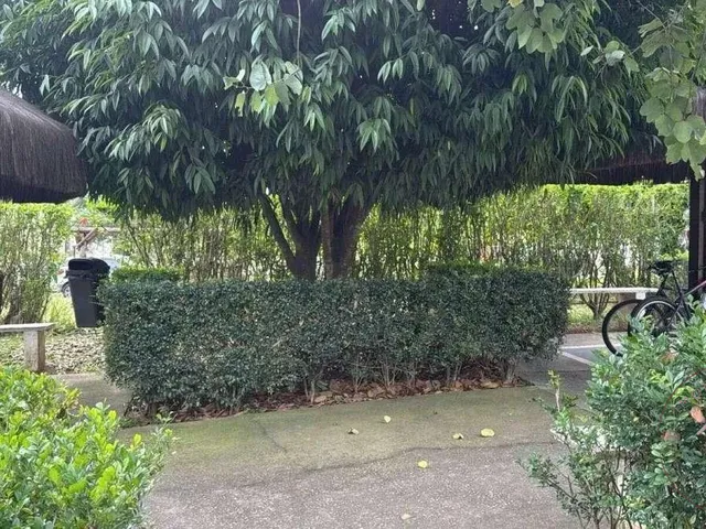 Imagem 7: Apartamento para Alugar em Cotia, Jardim da Glória, com 2 Quartos, 44M²