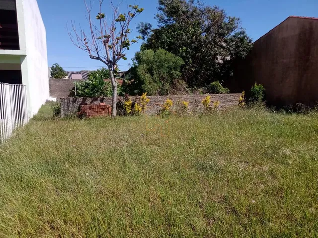 Imagem 4: EXCELENTE TERRENO