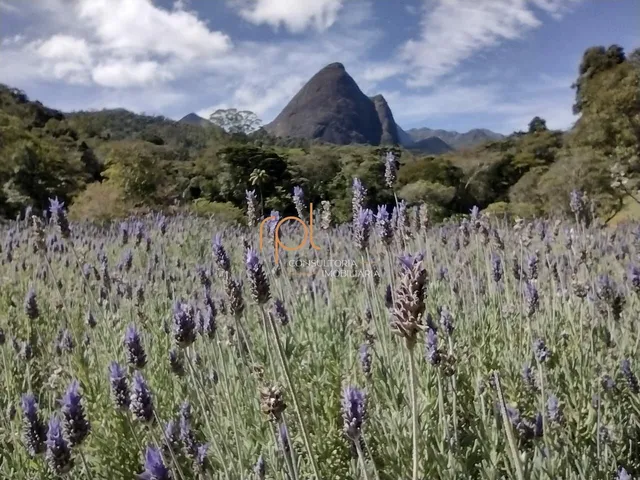 Imagem 10: Terreno À Venda no Bairro Corrêas - Petrópolis/Rj