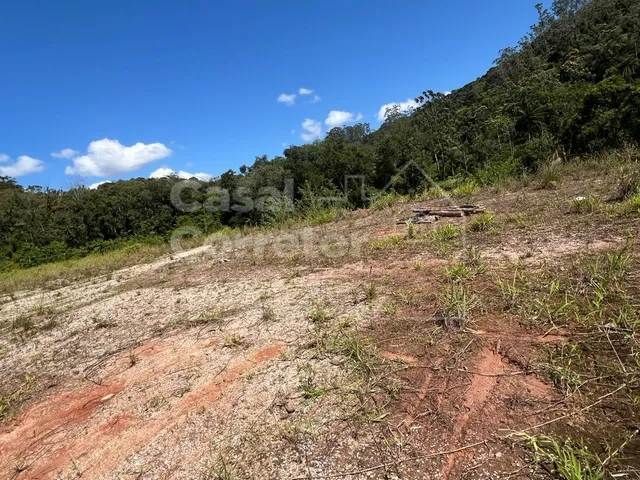Imagem 6: Terreno de 325M² Plano e em Loteamento