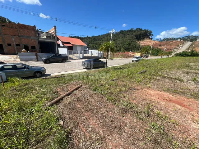 Imagem 3: Terreno de 325M² Plano e em Loteamento