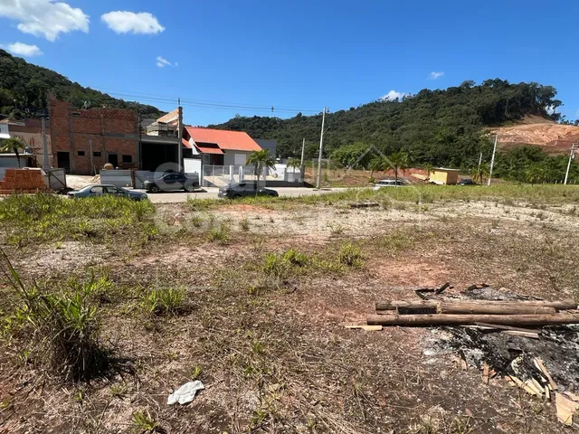 Imagem 4: Terreno de 325M² Plano e em Loteamento