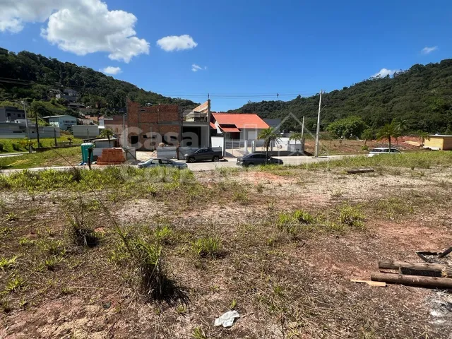 Imagem 14: Terreno de 325M² Plano e em Loteamento