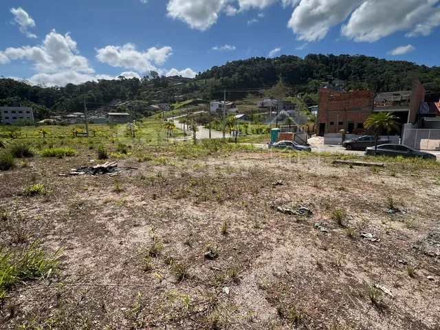 Imagem 12: Terreno de 325M² Plano e em Loteamento