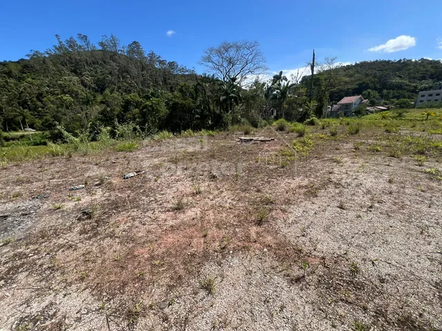 Imagem 13: Terreno de 325M² Plano e em Loteamento