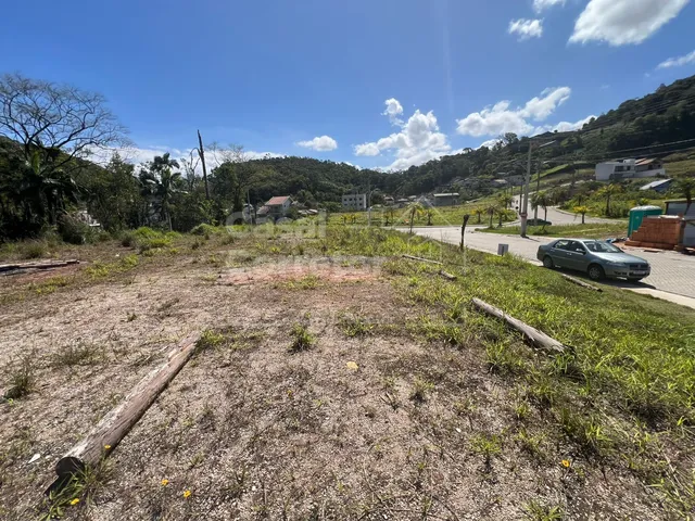 Imagem 11: Terreno de 325M² Plano e em Loteamento