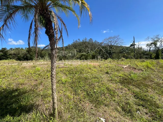 Imagem 7: Terreno de 325M² Plano e em Loteamento