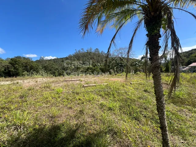 Imagem 2: Terreno de 325M² Plano e em Loteamento