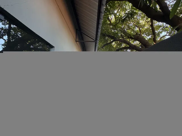 Imagem 6: Salão Comercial para Alugar com 280M² na Av. Nildo Ribeiro