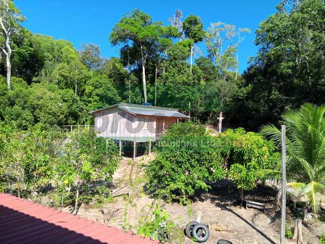 Imagem 6: Sítio : / Rural / Ramal do Membeca AM352