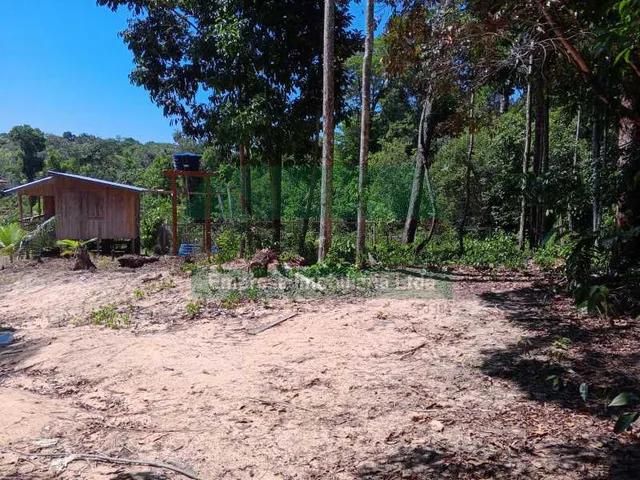 Imagem 15: Sítio : / Rural / Ramal do Membeca AM352