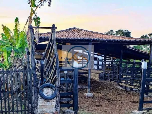 Imagem 9: Fazenda em Centro, Salgado/SE