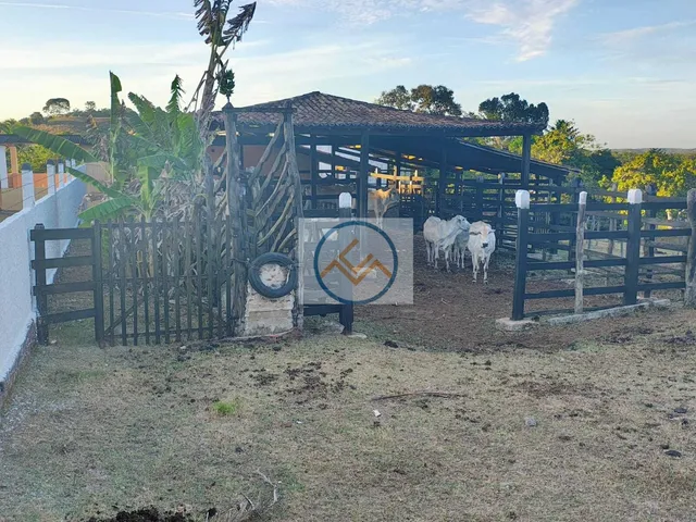 Imagem 2: Fazenda em Centro, Salgado/SE