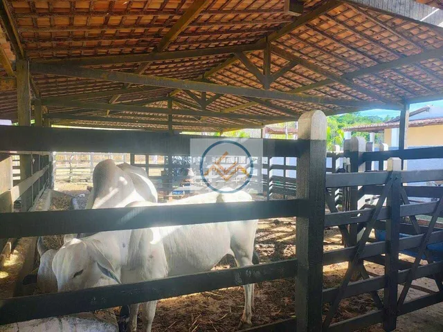 Imagem 13: Fazenda em Centro, Salgado/SE