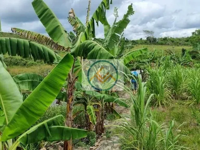 Imagem 14: Fazenda em Centro, Salgado/SE