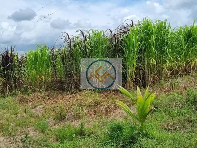 Imagem 11: Fazenda em Centro, Salgado/SE