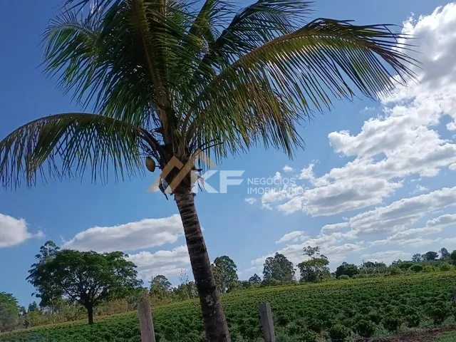 Imagem 1: Sítio a Venda em Minas Gerais- Mg