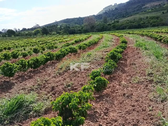 Imagem 6: Sítio a Venda em Minas Gerais- Mg