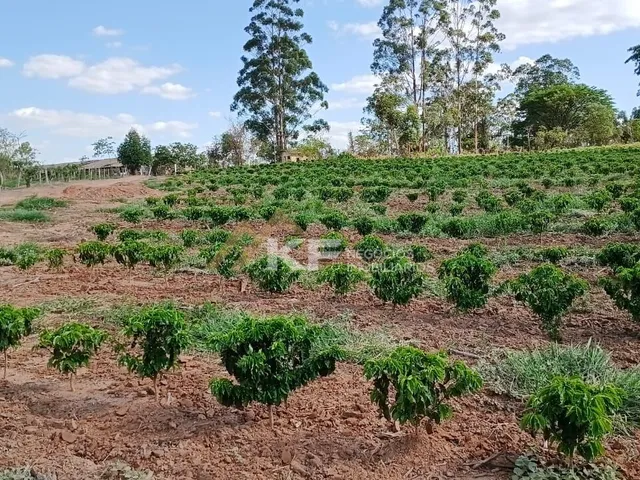 Imagem 7: Sítio a Venda em Minas Gerais- Mg