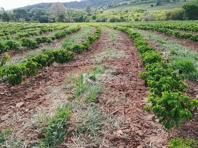 Imagem 4: Sítio a Venda em Minas Gerais- Mg