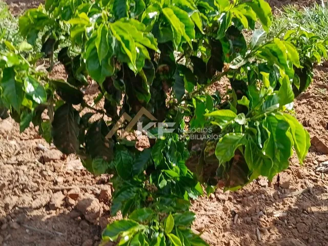 Imagem 2: Sítio a Venda em Minas Gerais- Mg