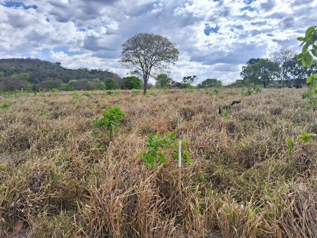 Imagem: Chácara à venda em Montes Claros-MG, Bairro