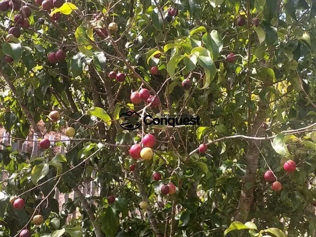 Imagem 15: Vendo Linda e Charmosa Chácara com acabamento de alto padrão, 05 quartos sendo 3