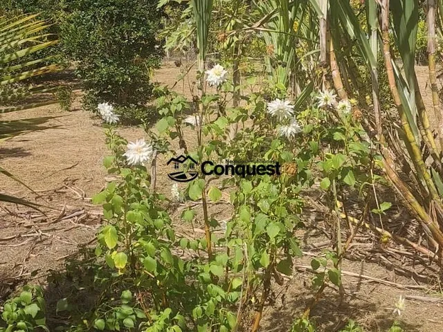 Imagem 12: Vendo Linda e Charmosa Chácara com acabamento de alto padrão, 05 quartos sendo 3