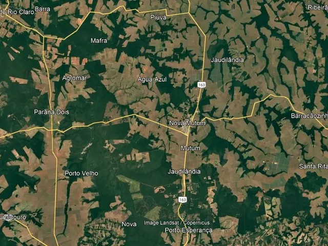 Imagem: Fazenda dupla aptidao para venda na região