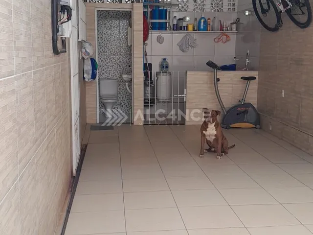 Imagem 4: Casa - 3 Quartos - 1 Suíte - 150 m² - Jardim Cidade Universitária, João Pessoa/PB