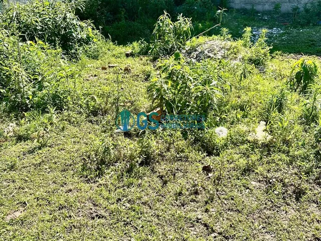 Imagem 7: Oportunidade! Terreno próximo da Beira Mar, Praia da Pinheira!