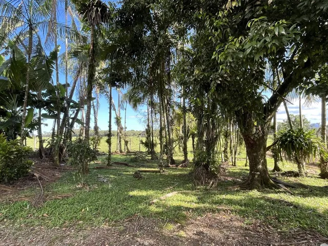 Imagem 4: Chácara em Rio Bonito (Pirabeiraba), Joinville/SC