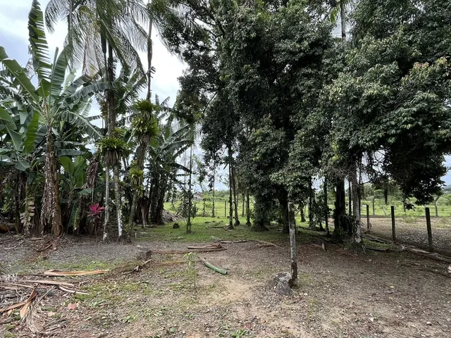 Imagem 16: Chácara em Rio Bonito (Pirabeiraba), Joinville/SC