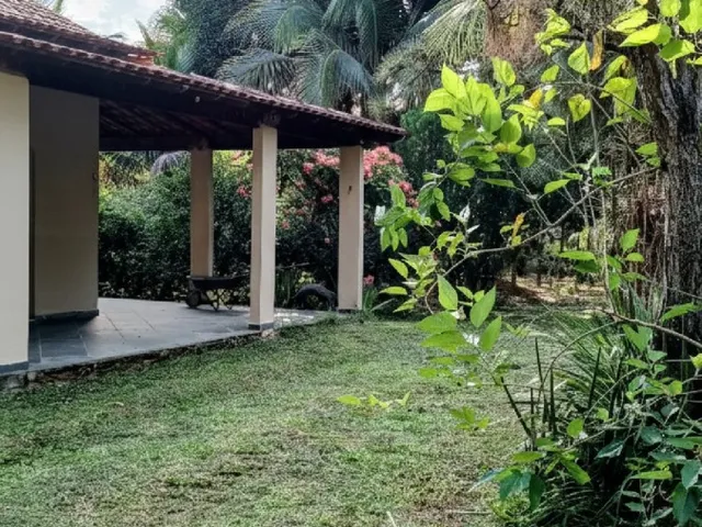Imagem: Sítio para Venda em Tanguá, Duques, 2