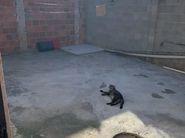 Imagem 9: 0 Casa com 2 dormitórios