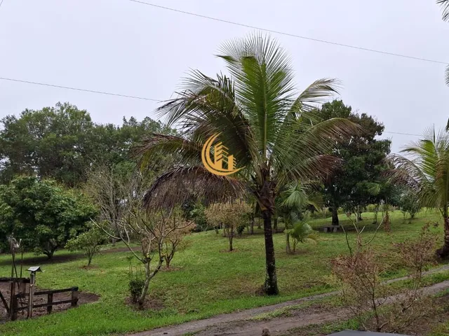 Imagem 15: Sítio em Bairro, Santo Amaro da Imperatriz/SC