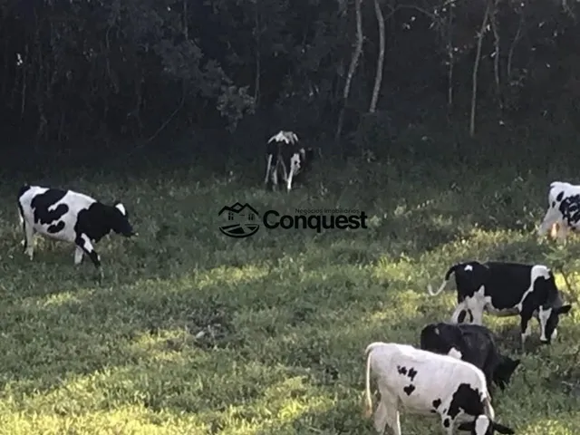 Imagem: Vendo Linda Fazendinha de 15 Hectares